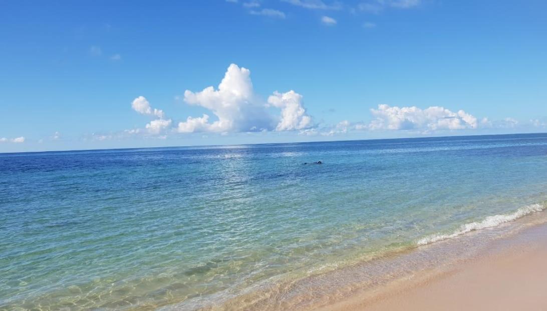 Appartement Paradisiaque Entre Hammamet Et Nabeul Eksteriør billede